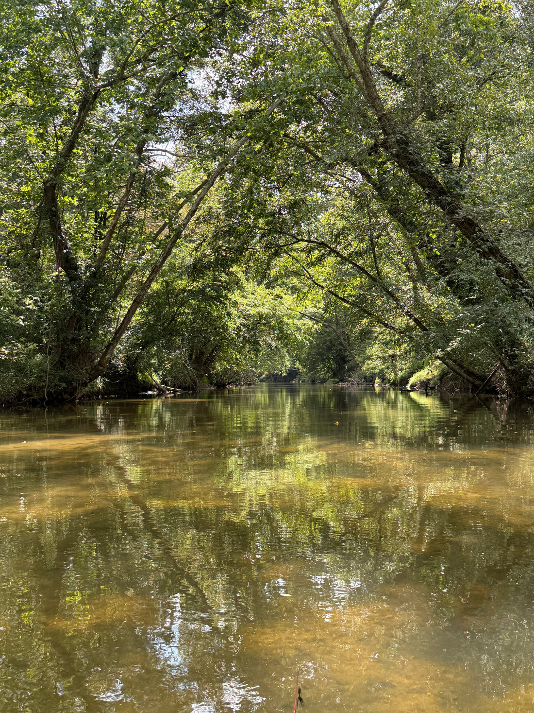 Paddle the River Less Taken: Exploring the Upper Yadkin River