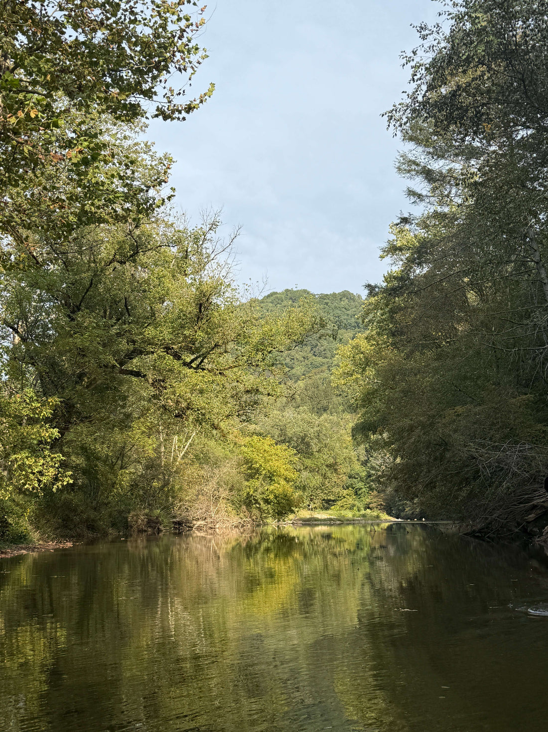 Looking down the river with mountain view