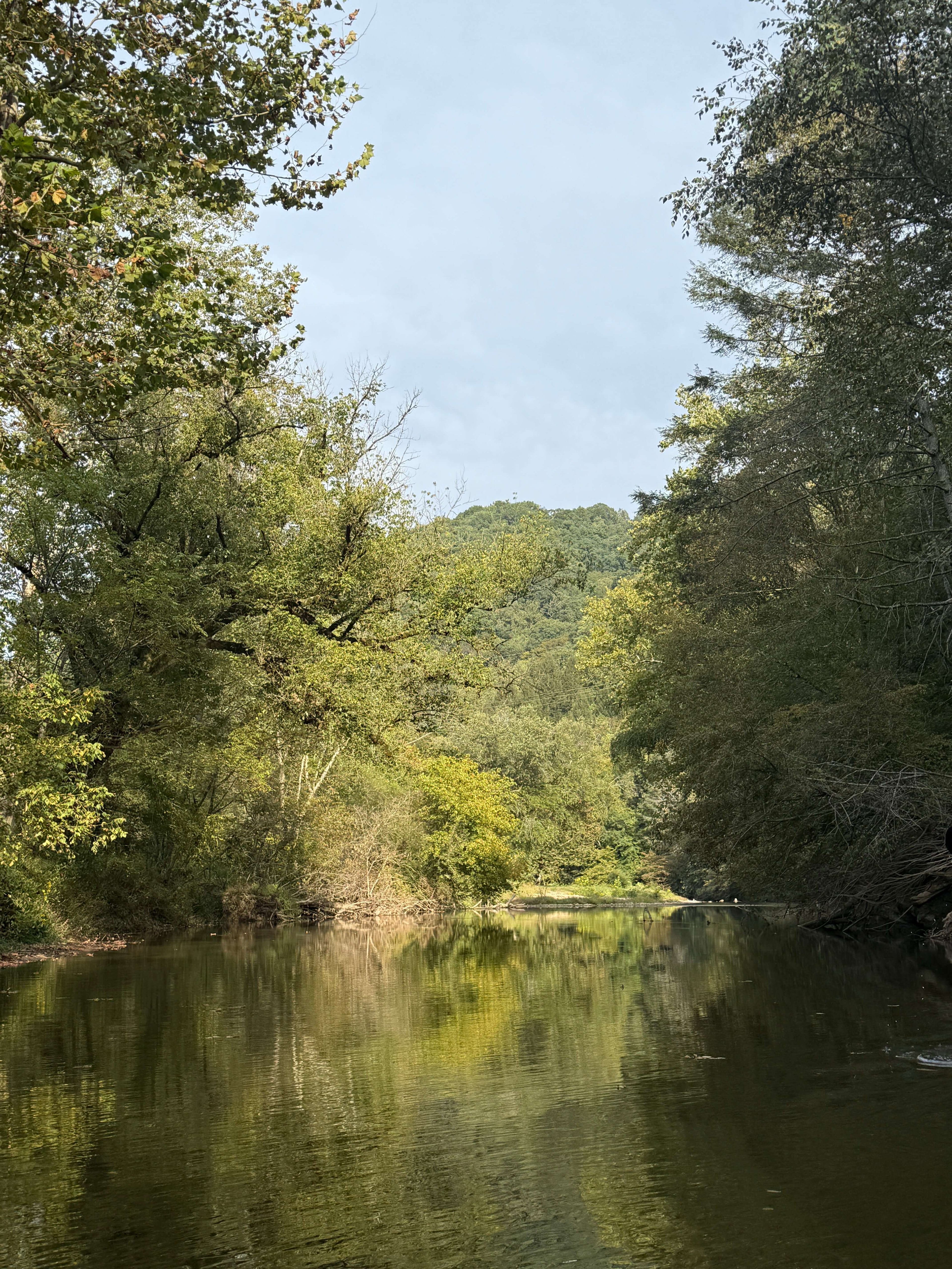 Yadkin River surrounded by trees on a clear day